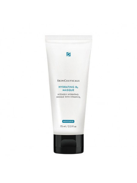 HYDRATING B5 MASQUE